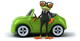 mascota contrate seguros