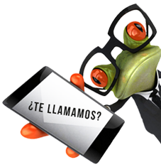 mascota contrate seguros